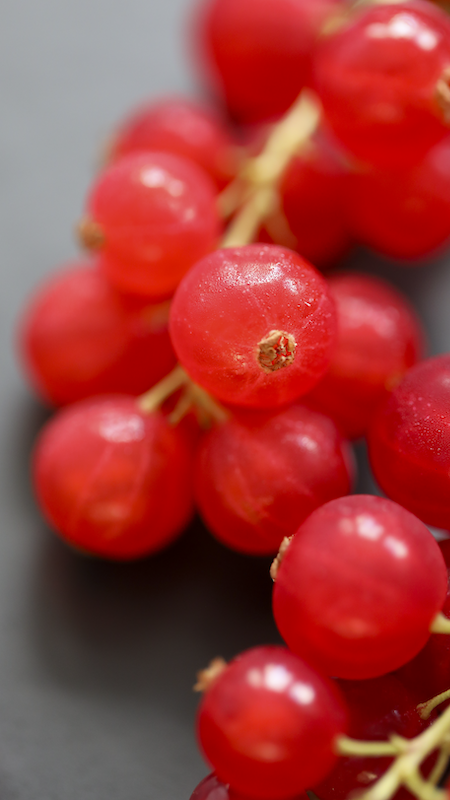 Food Photography - Rote Johannisbeeren auf schwarzem Teller, Makro-Aufnahme