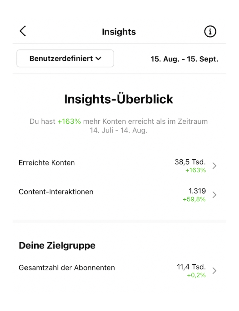 Social-Media-Zahlen zu Beginn: 38,5 Tausend erreichte Konten und 11,4 Tausend Follower auf Instagram